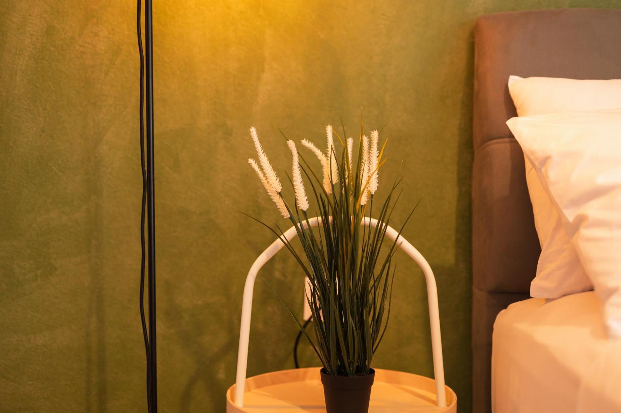 Ancient Forest Suite By Heeaven'S Hall Luxury Suites อเล็กซานโดรโพลิส ภายนอก รูปภาพ